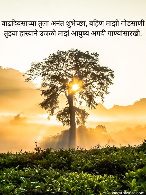 Best Birthday wishes Sister In Marathi