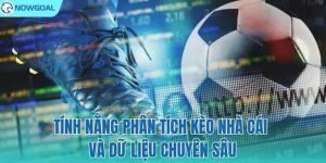 Read more about the article NOWGOAL Live Match Tracking: Real-Time Football Coverage for Every Game