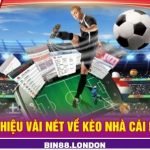 Sports Betting at BIN88