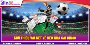 Read more about the article Sports Betting at BIN88 Casino: A Complete Guide to Online Wagering, Markets, and Strategic Play